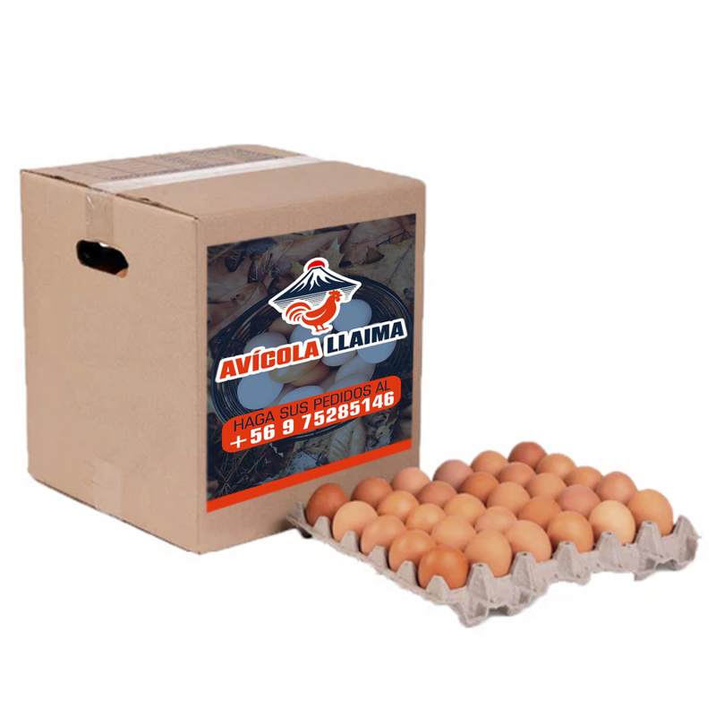 CAJA 180 HUEVOS CAJA 180 HUEVOS