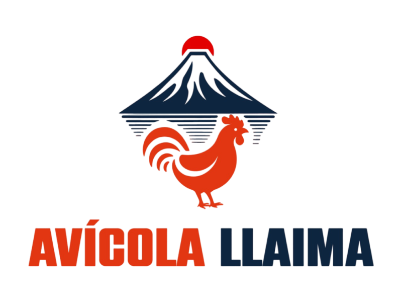 logo-sin fondo logo-sin fondo